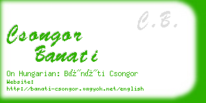 csongor banati business card